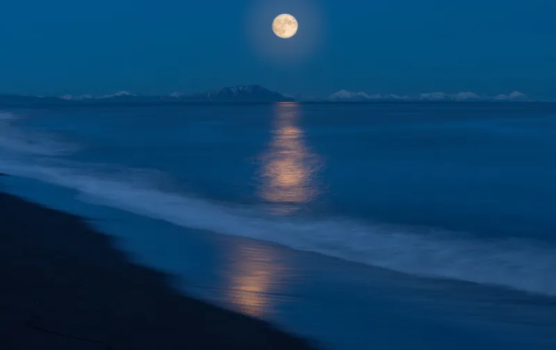 Full Moon, Full Wallet: The Strange Rise of Lunar Betting Rituals in American Online Casinos